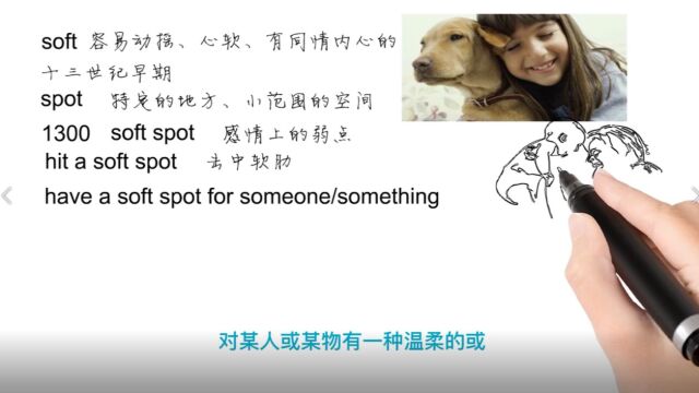 英语思维解密,为什么have a soft spot for someone指偏爱,轻松学英语