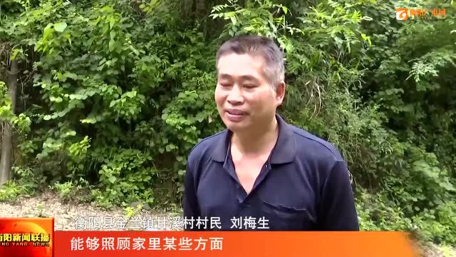 “我的衡阳 我的奋斗” 人大代表风采 陈佳辉:海归“新农人” 致富“带头人”