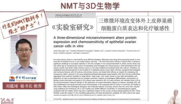 NMT与3D生物学(14) 2D,3D培养细胞在蛋白表达上的差异【许越博主】