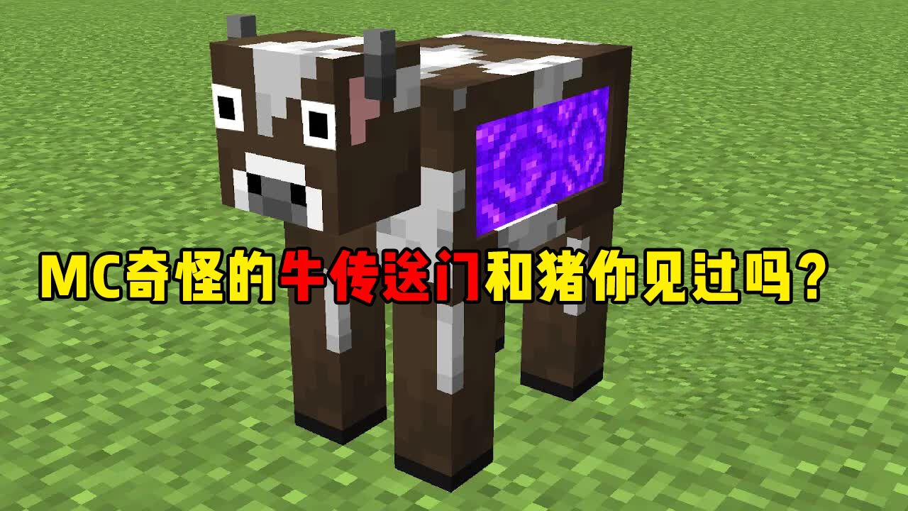 我的世界:MC奇怪的牛和猪你见过吗?牛竟然是个传送门!_高清1080P在线观看平台_腾讯视频