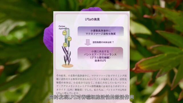 三荔(上海)生物科技有限公司