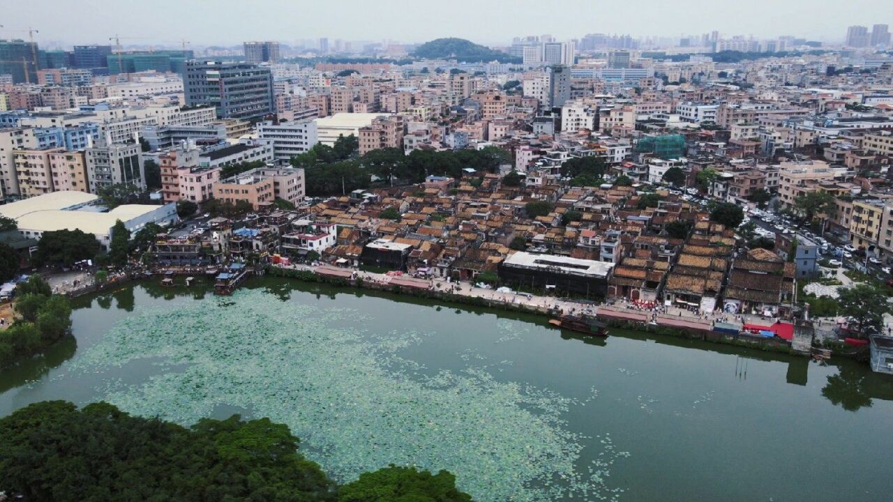 航拍東莞寮步大隱與市的西溪古村 風景如畫 卻很少人知道你去過嗎