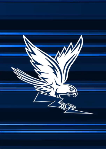 美国空军学院推出新的猎鹰标志