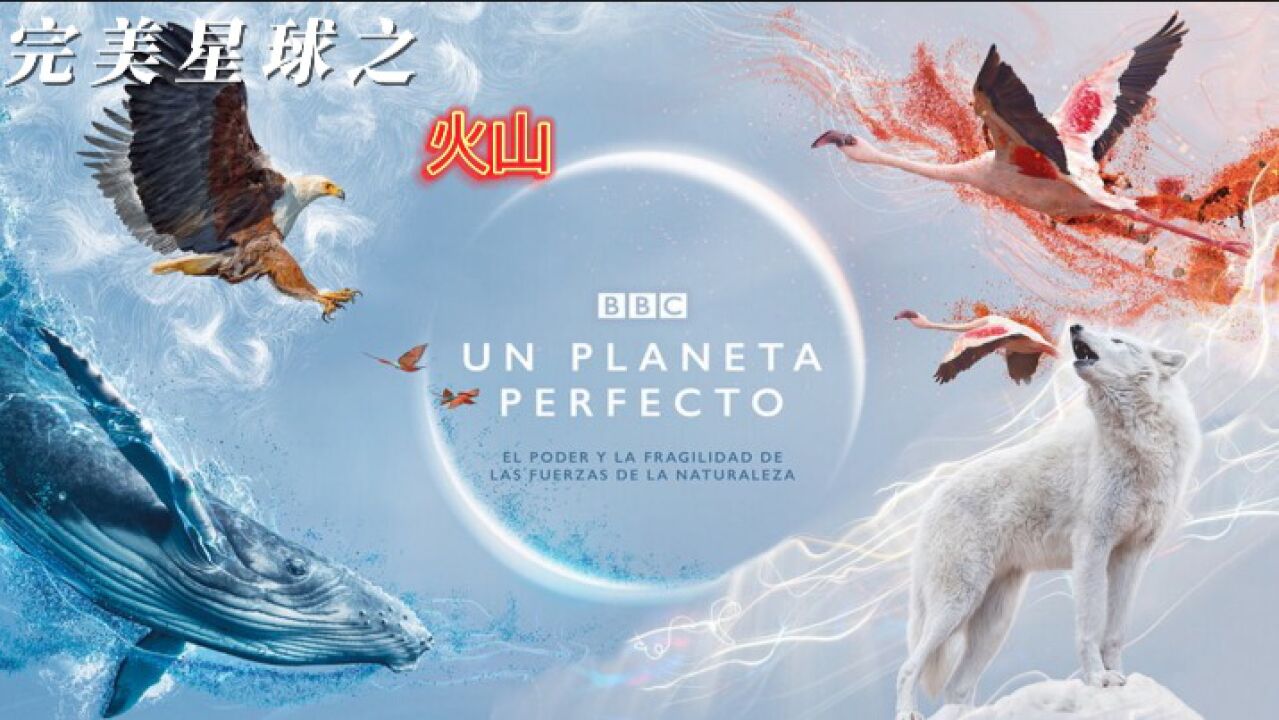 高分神级纪录片,每一帧画面都美到窒息_高清1080P在线观看平台_腾讯视频