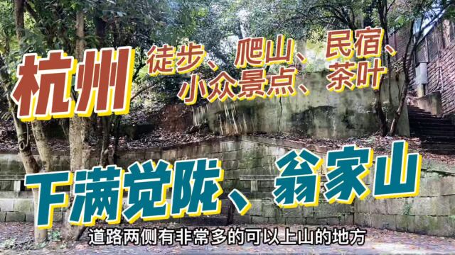 杭州满觉陇和翁家山,赏桂打卡小众景点,还有网红民宿、喜欢喝茶的可以买点狮峰龙井