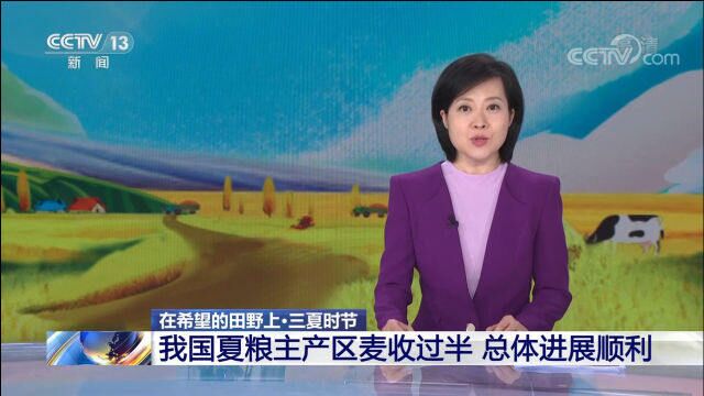 我国夏粮主产区麦收过半,全国麦收总体进展顺利