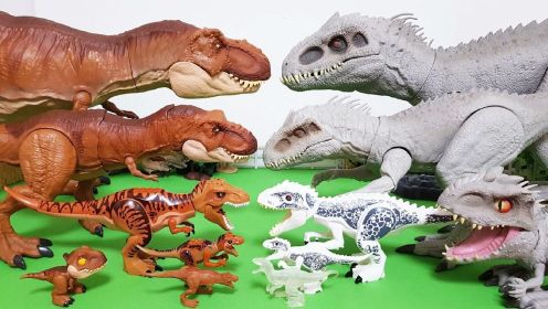 恐龙家族系列：恐龙进化太快啦