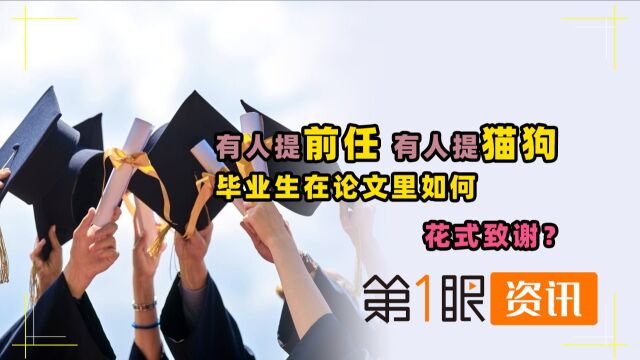 我是真的会谢!谢猫谢狗谢女友,大学生毕业论文致谢最精彩?