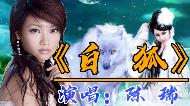 一首凄美动听的歌曲《白狐》陈瑞唱的让人心碎,听完不禁落泪,很感人