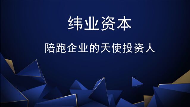 纬业资本|陪跑企业的天使投资人,专注早期项目(第二期)