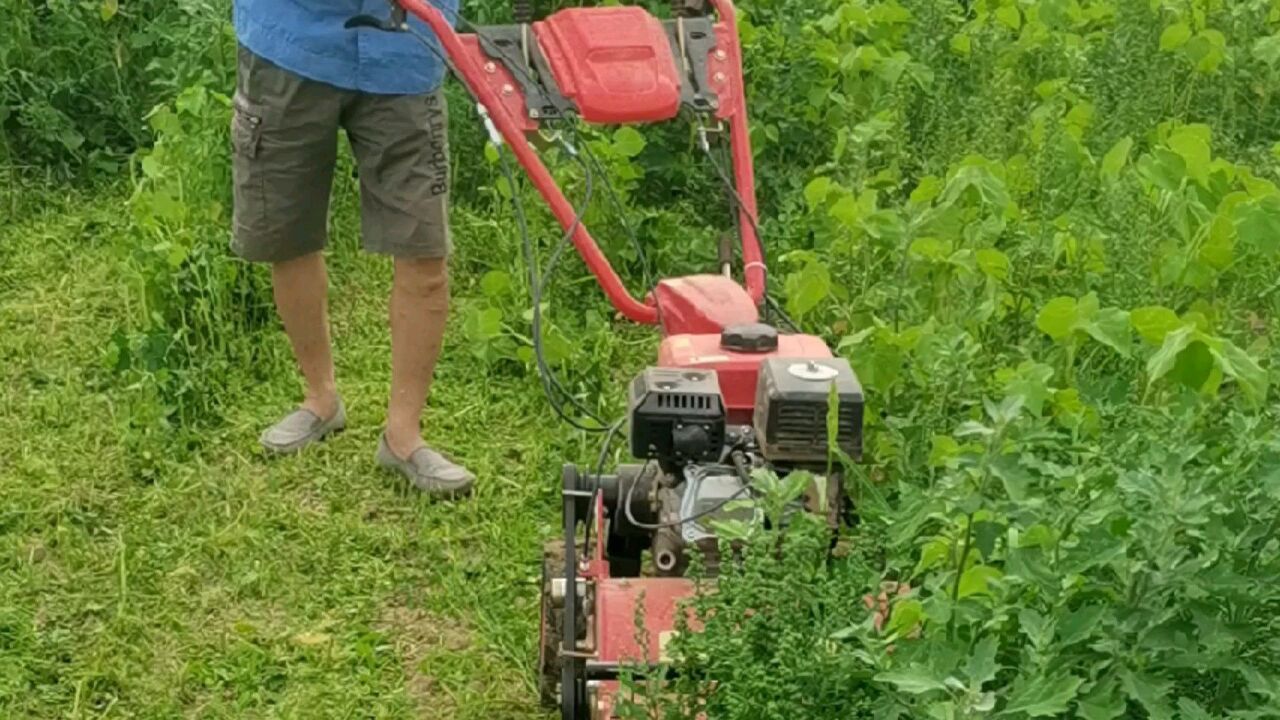 自走式果園割草機 農用小型果園割草碎草機