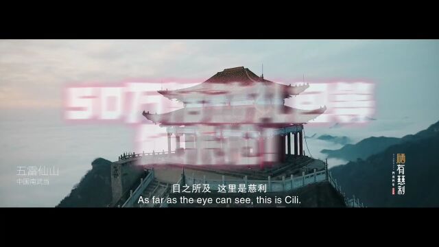 硒有慈利ⷦ‰“call我的家“湘” 2022“慈利农商银行杯”寻找星主播(达人)活动 全国海选闪耀开启,找的就是你!