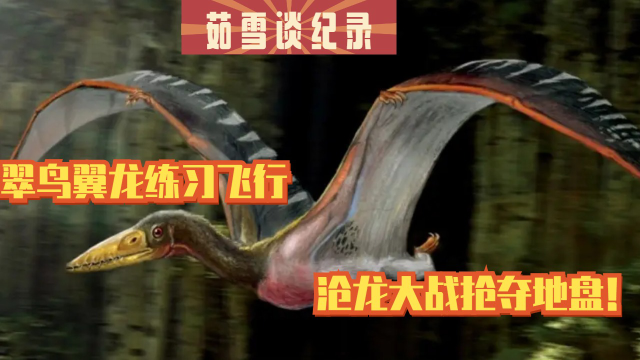 霸王龙搞丢孩子,翠鸟翼龙练习飞行,沧龙大战抢夺地盘!
