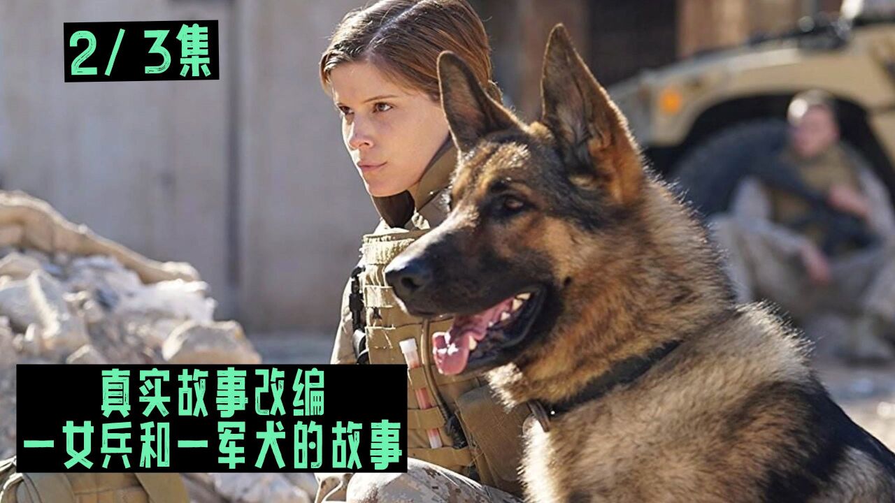 一女兵和一军犬的故事