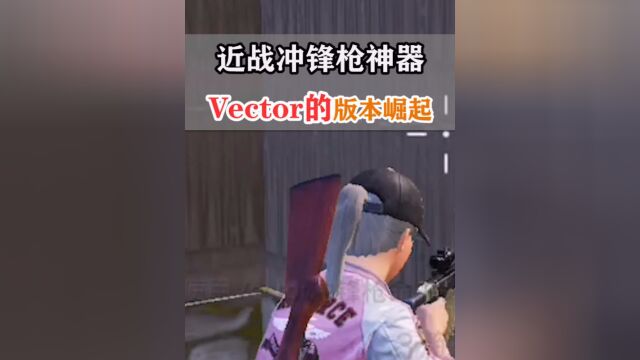 近战刚枪的冲锋枪神器,Vector成为高端局必备!