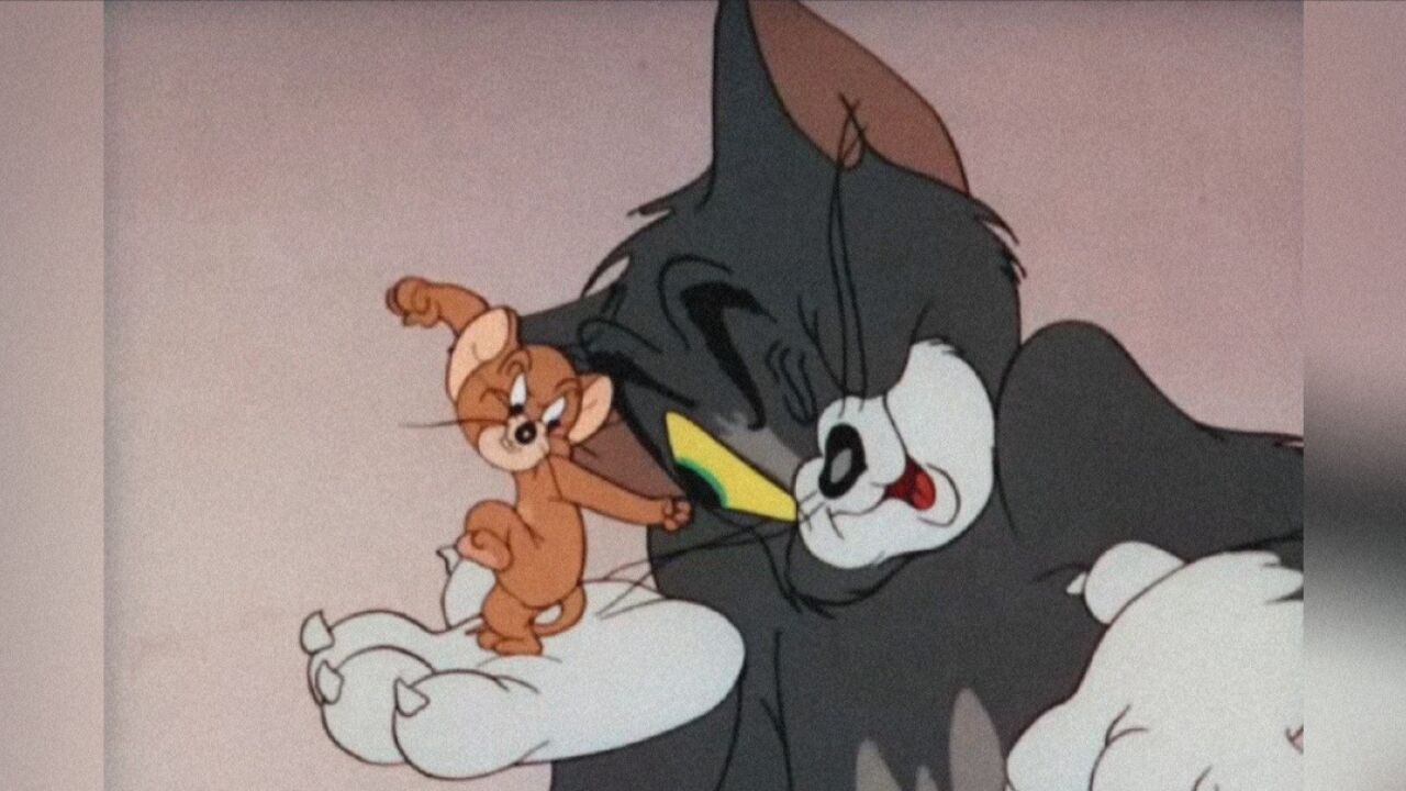 搞笑配音:《猫和老鼠》汤姆想看杰瑞手里的玩意 没想到 杰瑞一拳