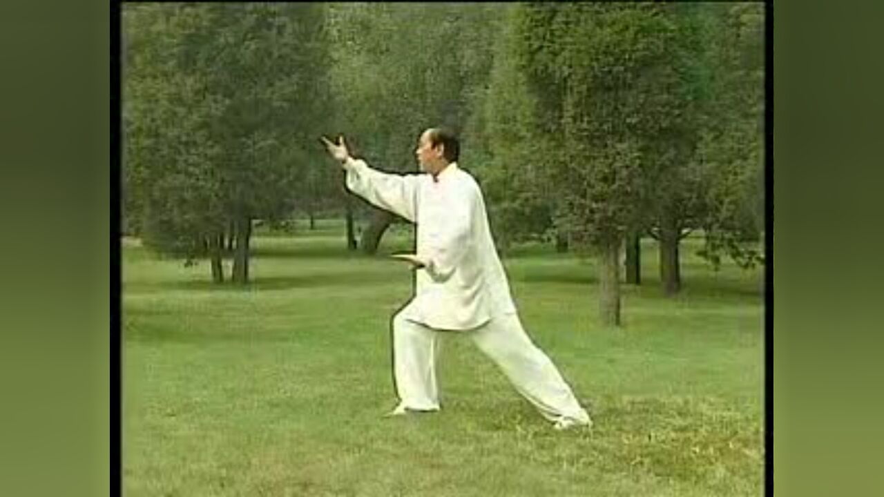 杨氏太极拳28式分解教学_高清