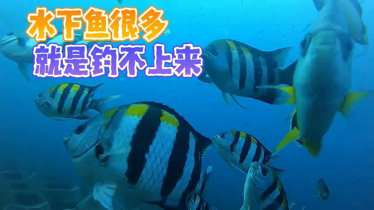 海洋百事