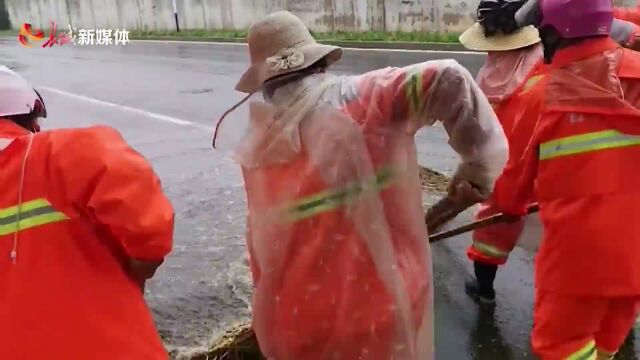 河北多地降大暴雨 深州东安庄降水量最大