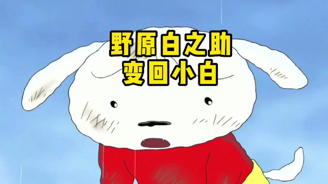 虽然因为野营,小白坏了小新计划,但是小白也是家人啊