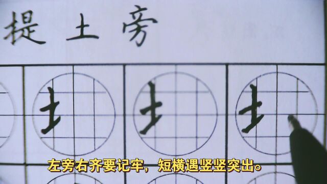 写字难?写字丑?谦品格练字来帮你.#硬笔书法 #提土旁.这样练字更容易!