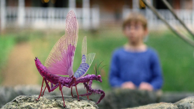 男孩看到一只变异螳螂,当他去追出去的时候,我就知道他要完了