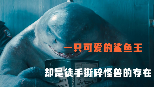一只可爱的鲨鱼王 却是手撕怪兽般的存在!