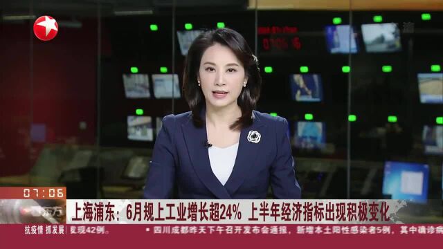 上海浦东:6月规上工业增长24% 上半年经济指标出现积极变化