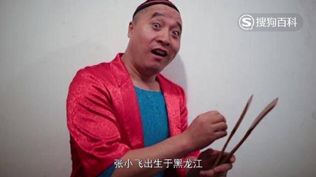 立懂百科带你了解张小飞