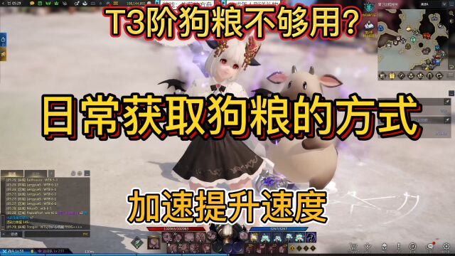 【失落的方舟】日常获取T3阶段的一些方法,加速你的提升速度