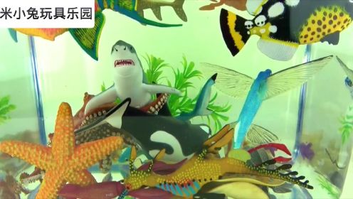 野生动物园少儿系列：水族馆里的海洋动物
