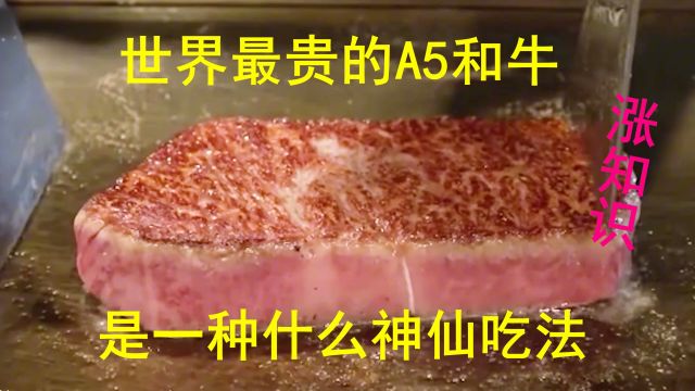 世界上最贵的牛肉,A5和牛,是一种什么神仙吃法,涨知识!