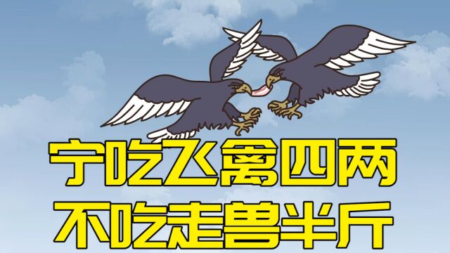 “宁吃飞禽四两,不吃走兽半斤”为啥这么说?老祖宗传下来的规矩