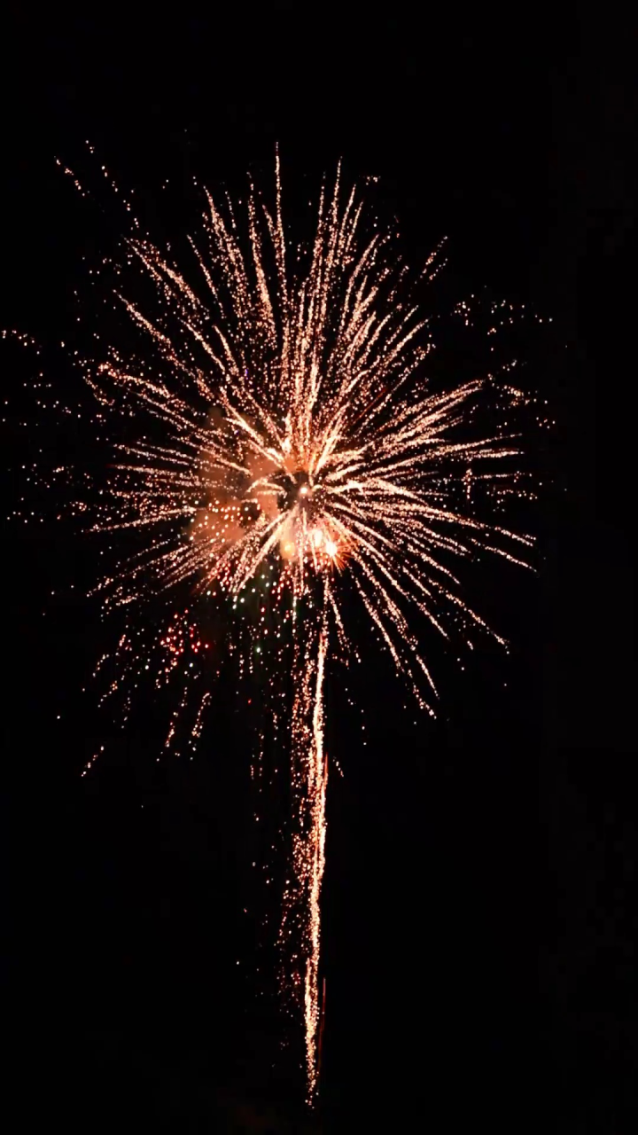 80发东信烟花—时雨彩落叶    竖频