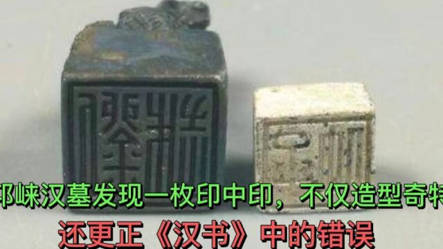 邛崃汉墓发现一枚印中印,不仅造型奇特,还更正《汉书》中的错误