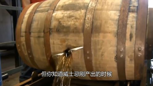 威士忌的制作过程，刚做出来竟有145度，全靠酒桶发酵才能饮用
