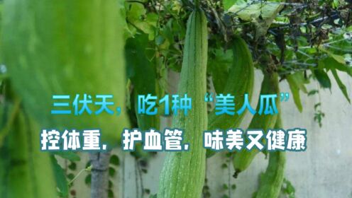 三伏天吃1种“美人瓜”,控体重,护血管,味美又健康,顺应时节过夏天_高清1080P在线观看平台_腾讯视频