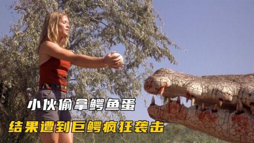 《惊世巨鳄》小伙在野外偷拿鳄鱼蛋，结果遭到巨鳄疯狂袭击，惊悚