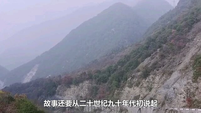 《盲山》:美女大学生被无良人贩拐卖到贫困山区,真实事件改编,国产电影,揭露人性之恶