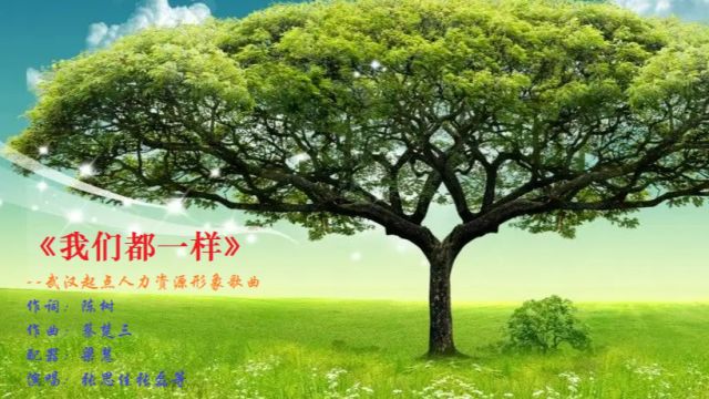 陈树作品《我们都一样》武汉起点人力资源形象歌曲#凡人微光#经典励志歌曲