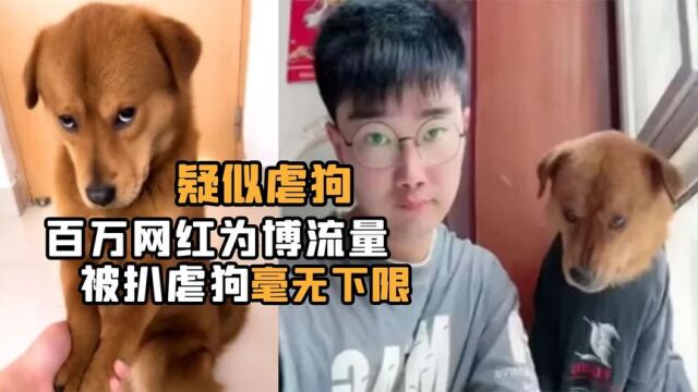 博流量毫无下限!百万网红被扒虐狗全网众怒,威胁网友露出真面目