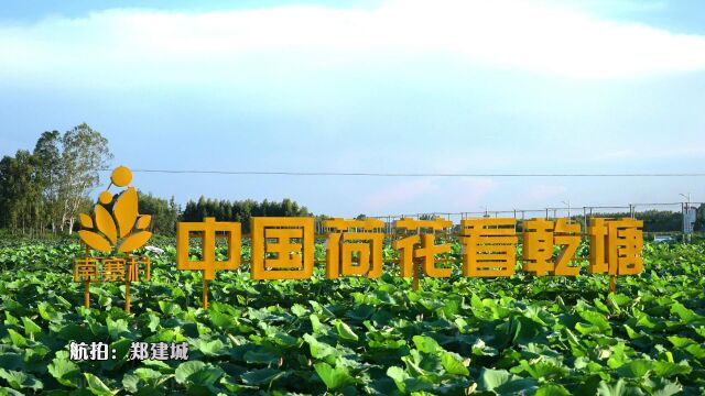 2022年乾塘荷花世界这样做 #2022年荷花节