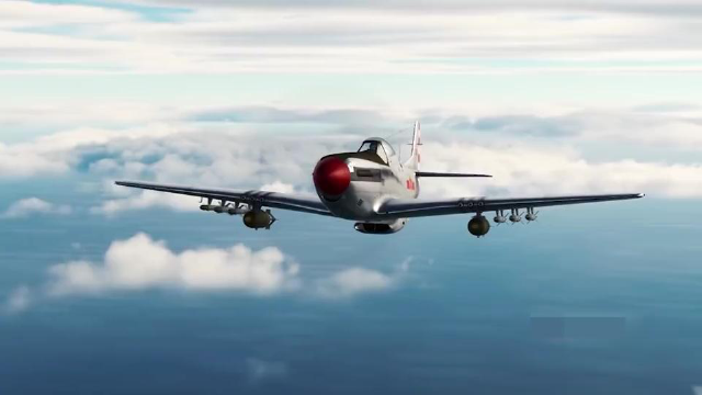 开国大阅兵飞了两遍的空中卫士p51野马战斗机