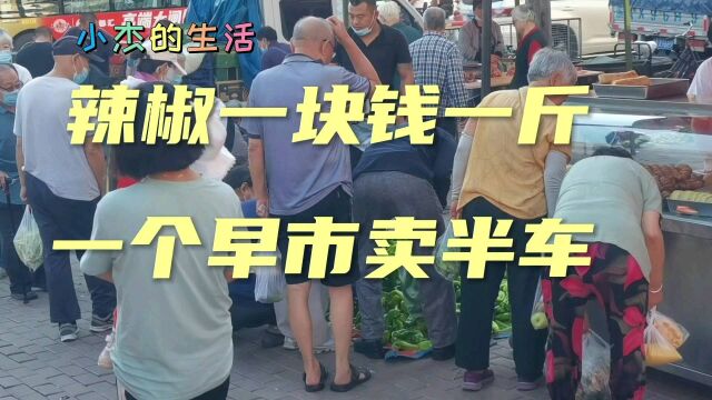 哈尔滨大早市,辣椒掉价了一块钱一斤,抢,一个早市卖了半车!