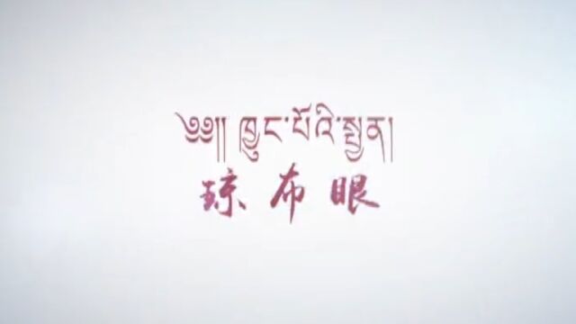 众志成城 共克时艰——丁青县各民营企业与个体工商户用爱心和责任筑起了抗击疫情的“防护墙”