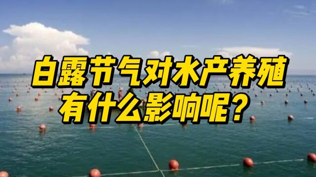 白露节气对水产养殖有什么影响?