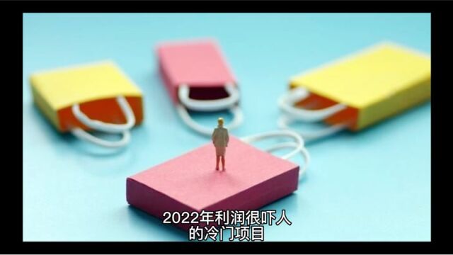 2022年利润很吓人的冷门项目