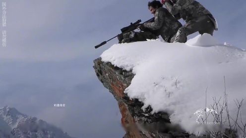 职业猎人雪山峰顶打野猪，300米开外一枪爆头，枪法绝了