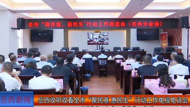 岳西收听收看全市“聚民意 惠民生”行动工作电视电话会