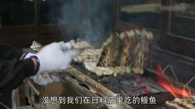 日本鳗鱼为什么这么贵?一公斤售价23万,是智商税吗